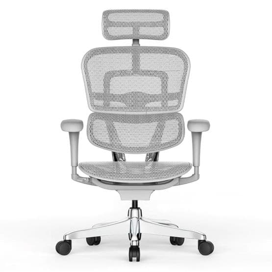 Fauteuil ergonomique structure grise Tech Ergo Human Classic 2