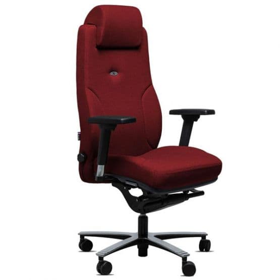 Fauteuil 24 / 24 Lead Ernest