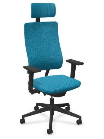 Fauteuil Newback avec têtière