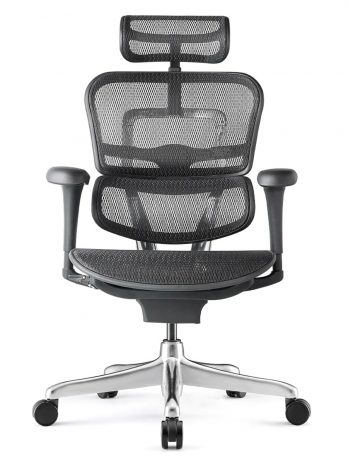 Fauteuil ergonomique Tech Ergo Human classic 2